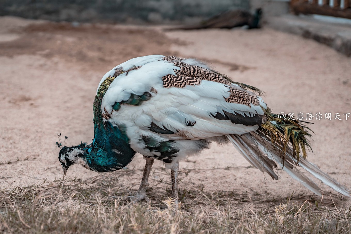 到安徽旅游景点,到安徽六安旅游