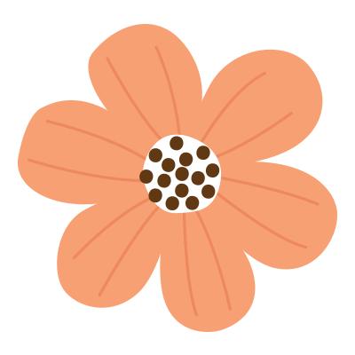 椰岛全球购体验,海南椰岛全球购是什么