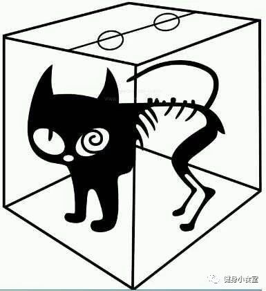 平板支撑怎么锻炼腰围,如何平板支撑斜方肌会瘦