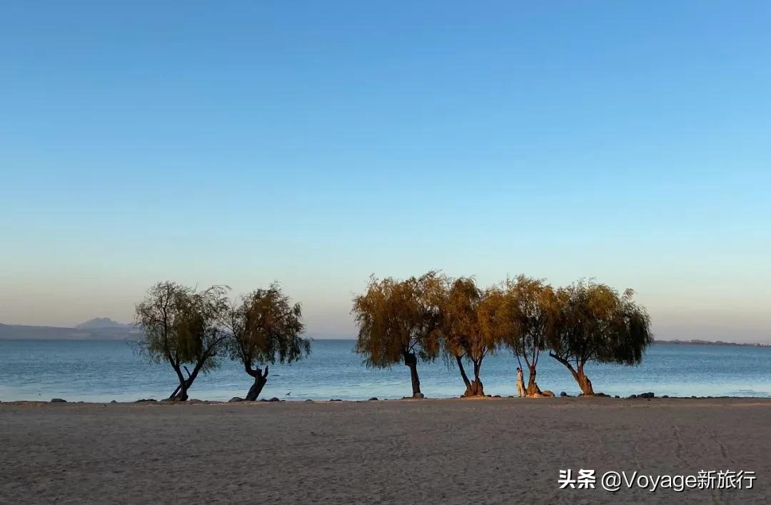 27个世界湿地日,世界湿地之都
