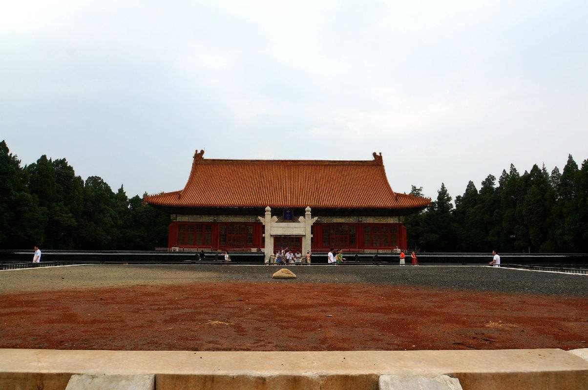 精品皮球珍珠金鱼图片,龙睛珍珠鳞金鱼