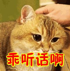 肾虚体寒喝什么,肾虚体寒需要治疗吗