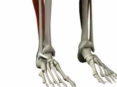 骨科医生治崴脚的日常,骨科林剑浩踝关节扭伤康复动作