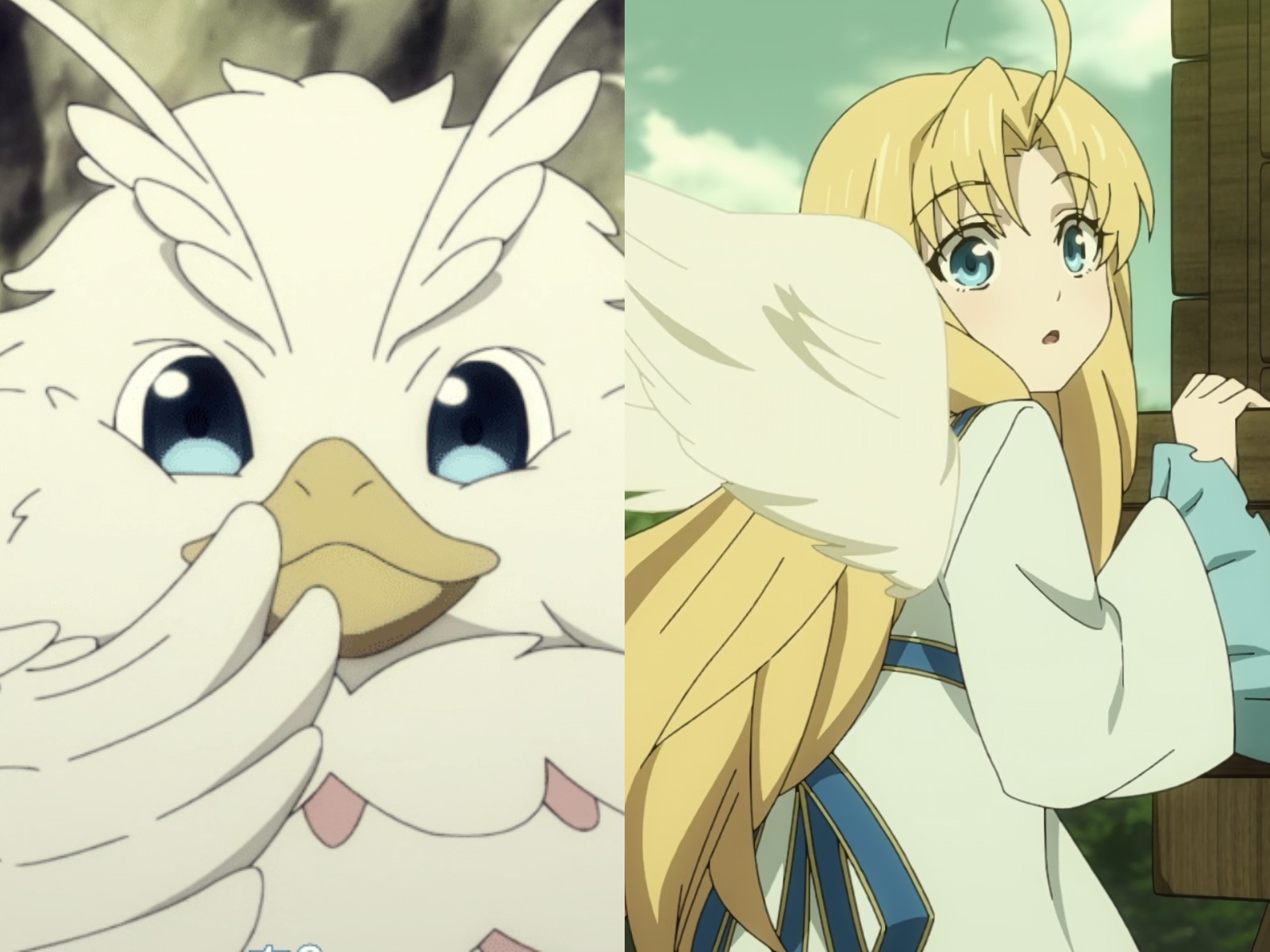 二次元动物进化成人类,二次元动物进化