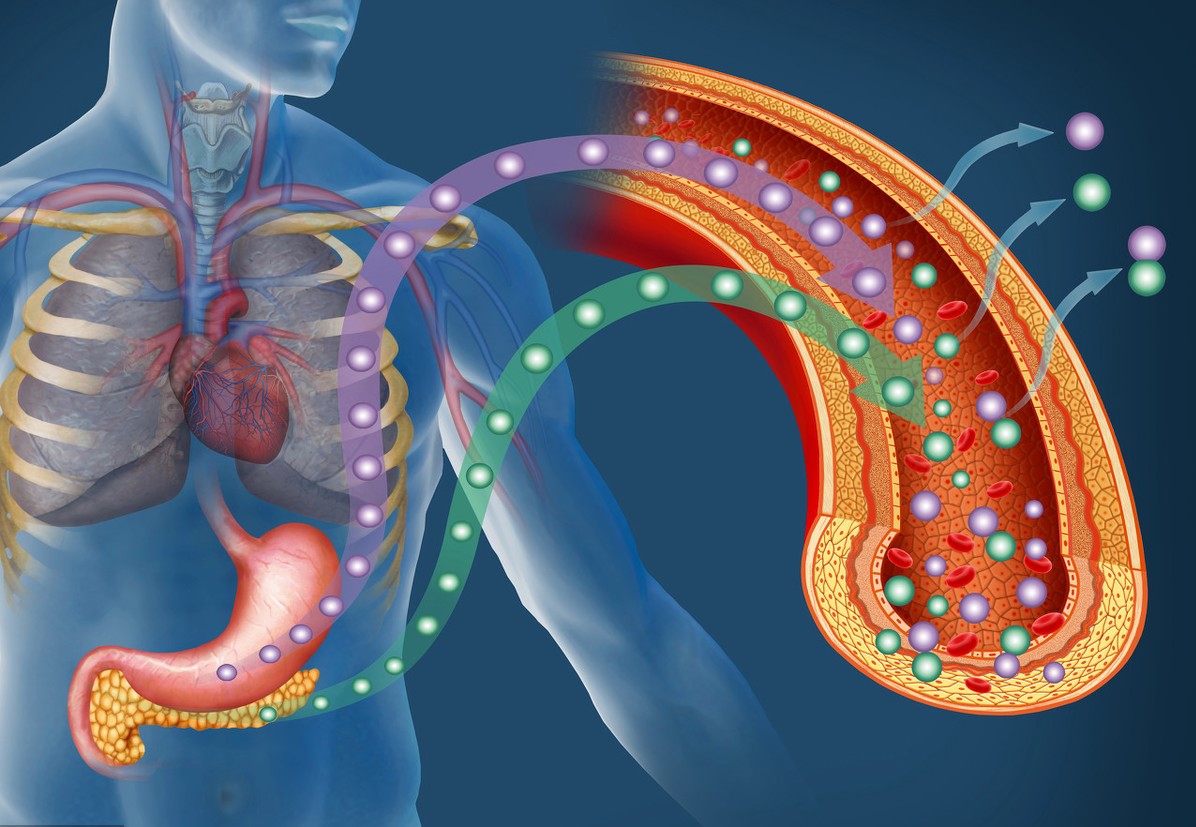 为什么很多人，在发生糖尿病之前，会变得“爱吃糖”