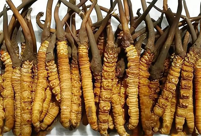 曾经被人捧上天的野草,曾经万人追捧的神药如今无人问津