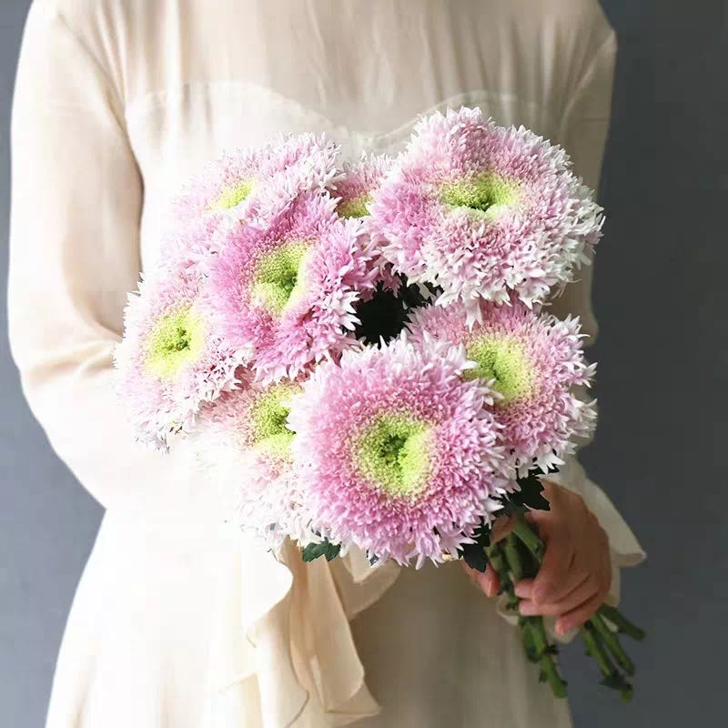 可爱的代名词是什么意思,可爱的代名词歌曲