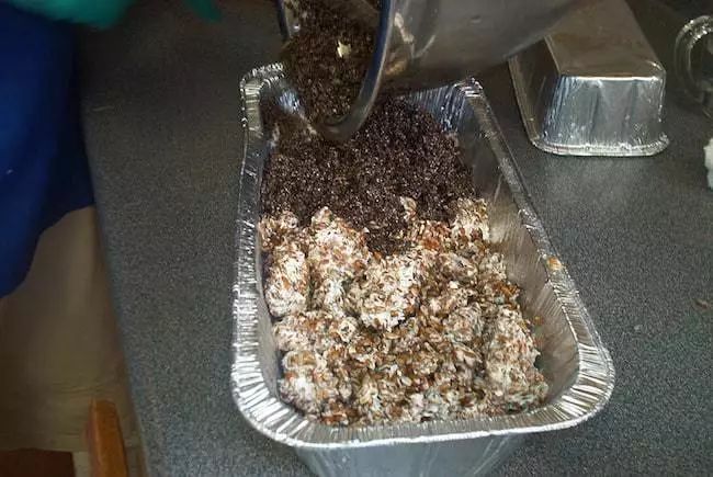 钩织蘑菇盆栽教程第四段,怎样培育蘑菇在家中