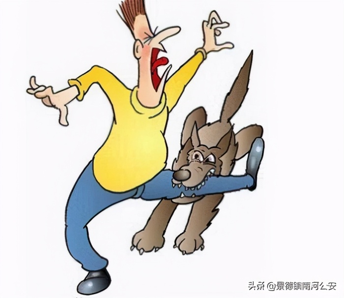 小偷入室盗窃被打死屋主有责任吗,入室抢劫被狗咬死狗主人有责任吗