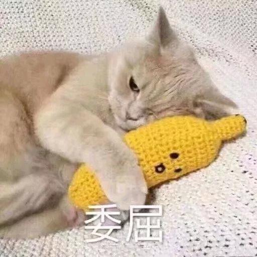 在家可以干什么手工,在家可以做什么兼职