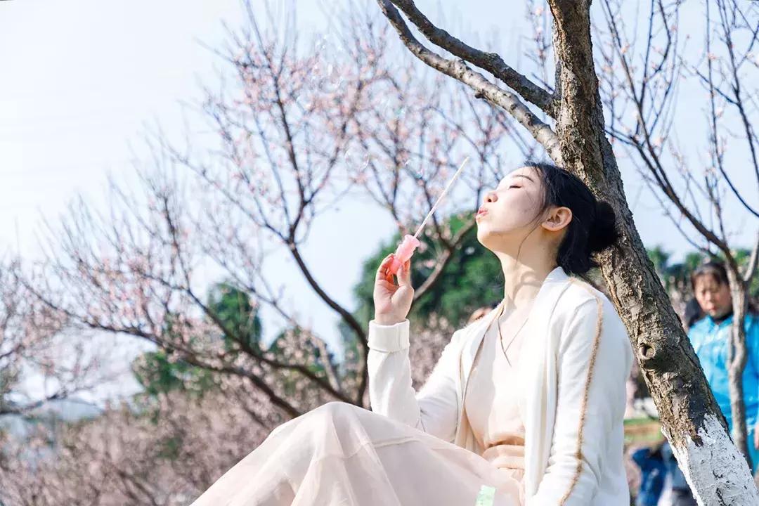 深圳隐秘风景,深圳粉色花海视频