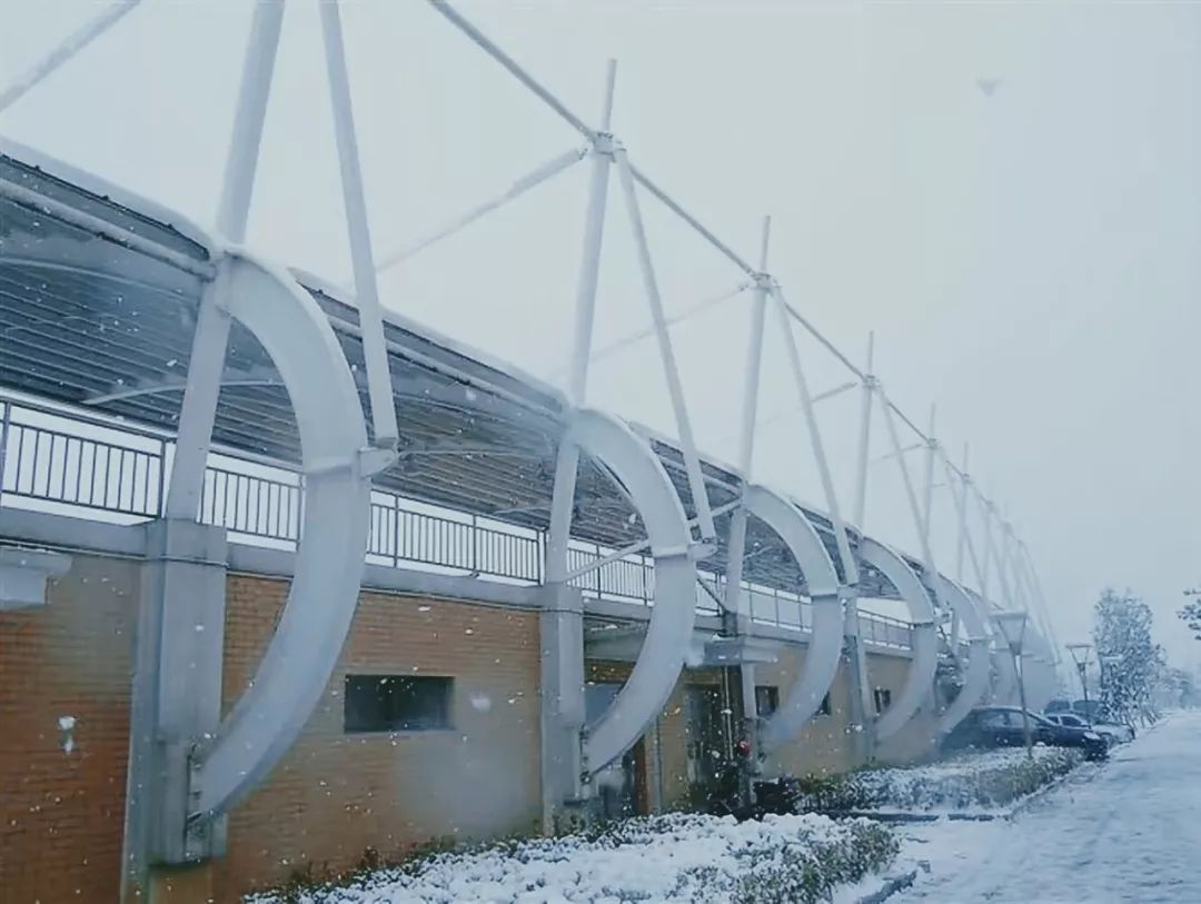 从未逃离,从未逃离过原生家庭