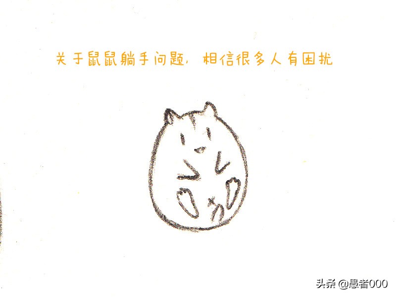 画可爱的仓鼠漫画,可爱的小仓鼠简单的漫画