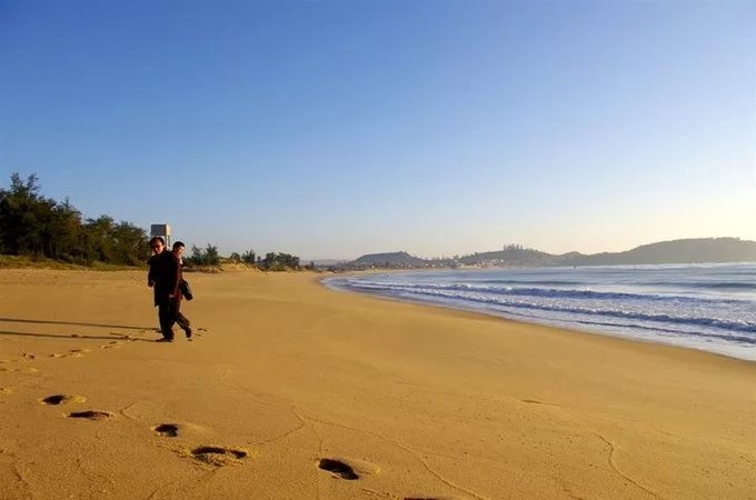 这一份公交交通指南，带你玩转上海各大景点