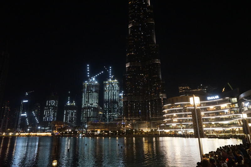 从天空到海洋到大地的视频,从天空到海底绘本