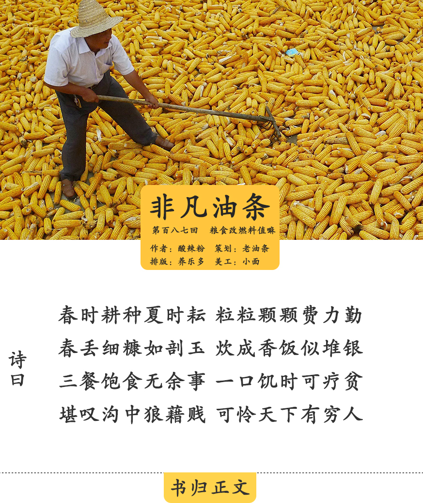 中国有玉米乙醇汽油吗,玉米乙醇汽油