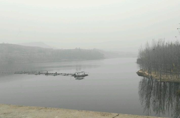 水库网箱养殖经济效益怎么样,综合养鱼怎么经济效益最好