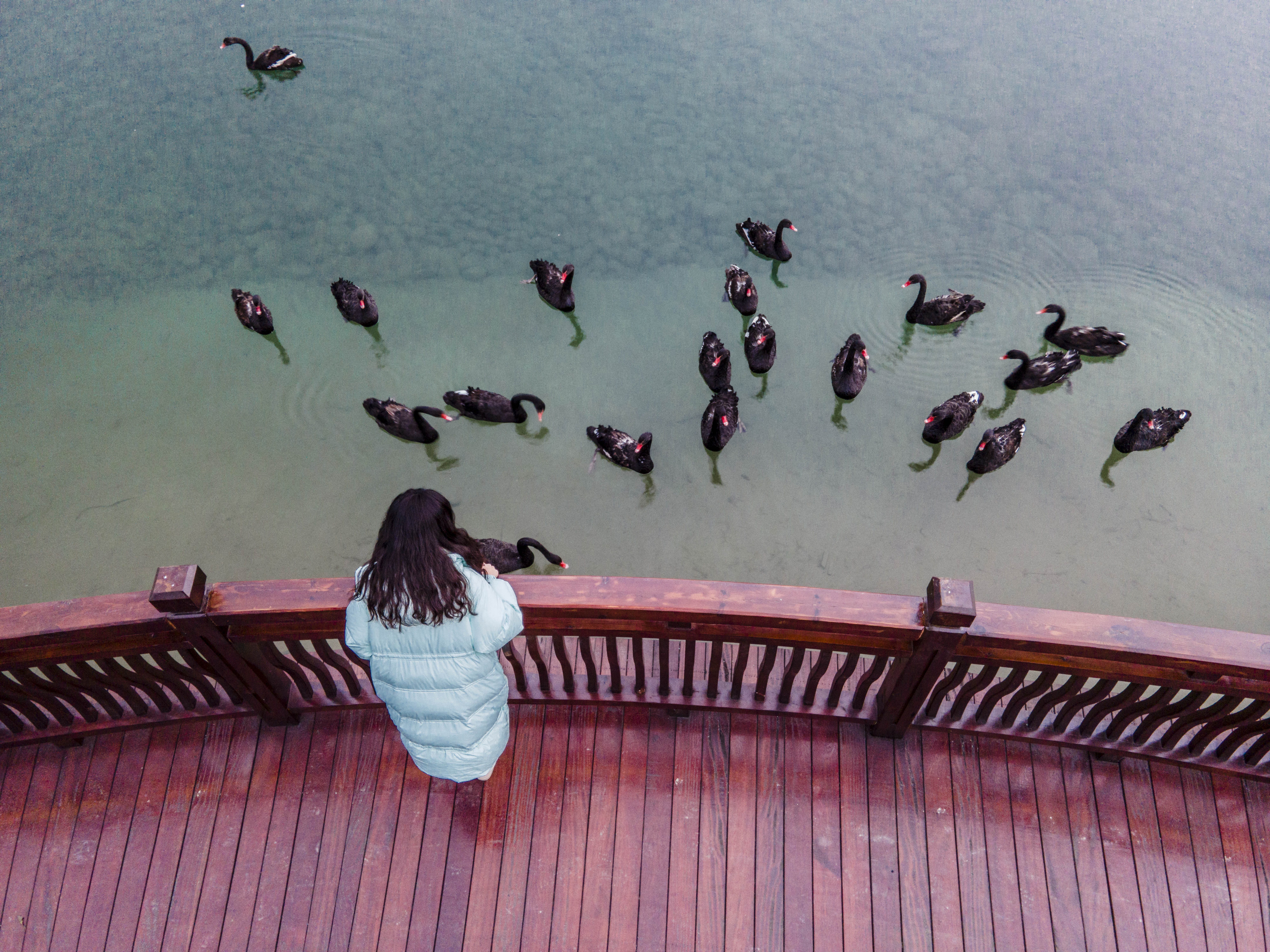 成都周边适合度假的温泉别墅酒店,成都最豪华温泉酒店