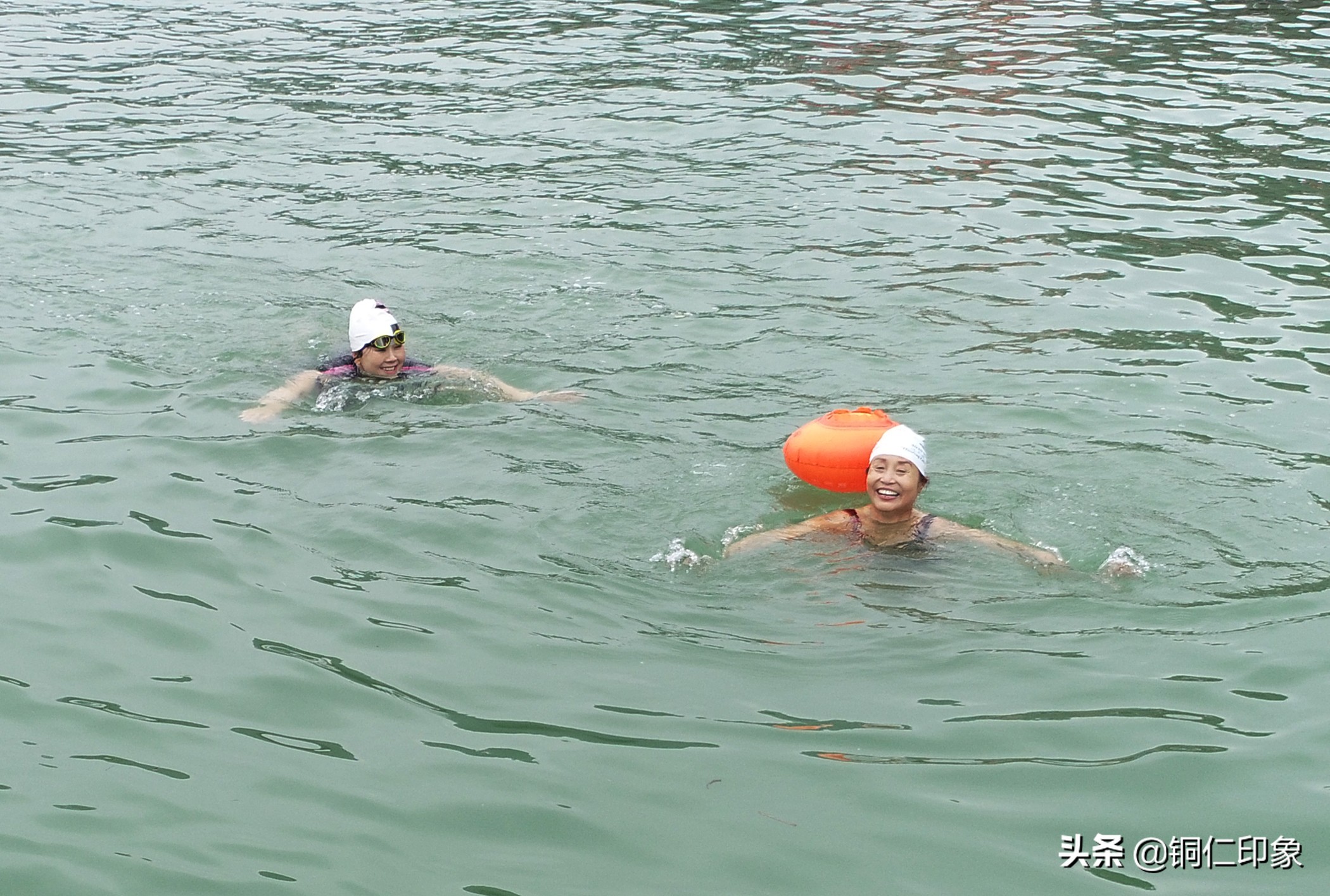 铜仁市游泳协会,2023年铜仁市运动会游泳比赛