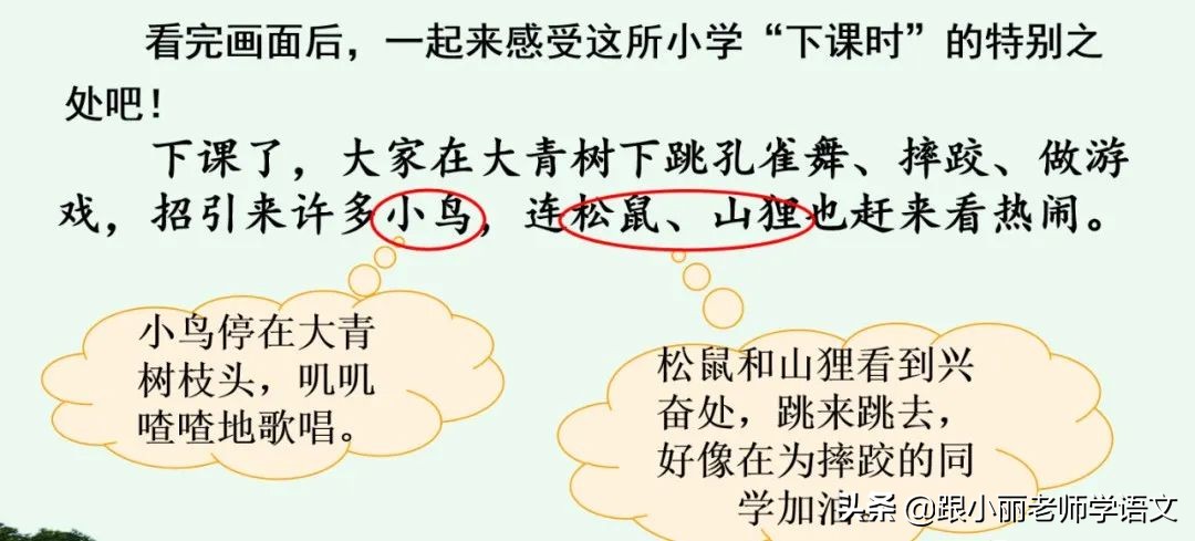 大青树下的小学重点知识点,大青树下的小学重点知识梳理