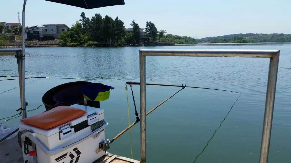 钓鱼王美人鱼佳钓尼鱼线测评,美人鱼鱼竿和佳钓尼哪个好