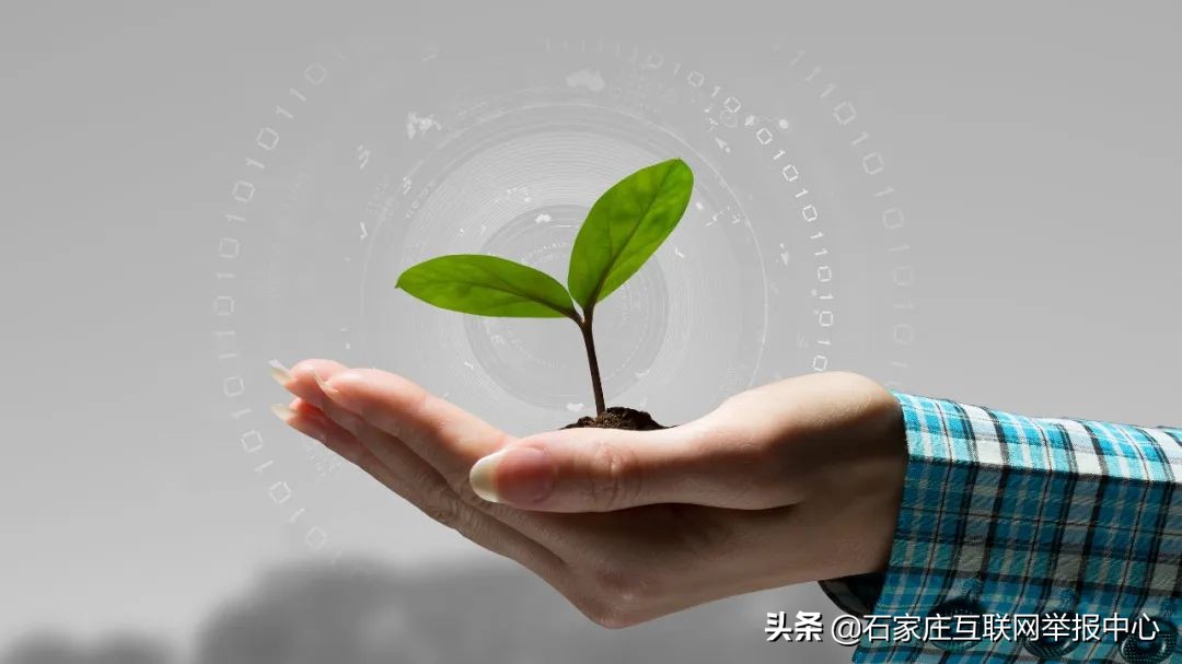 人肉搜索涉及到哪些违法行为,人肉搜索属不属于违法行为