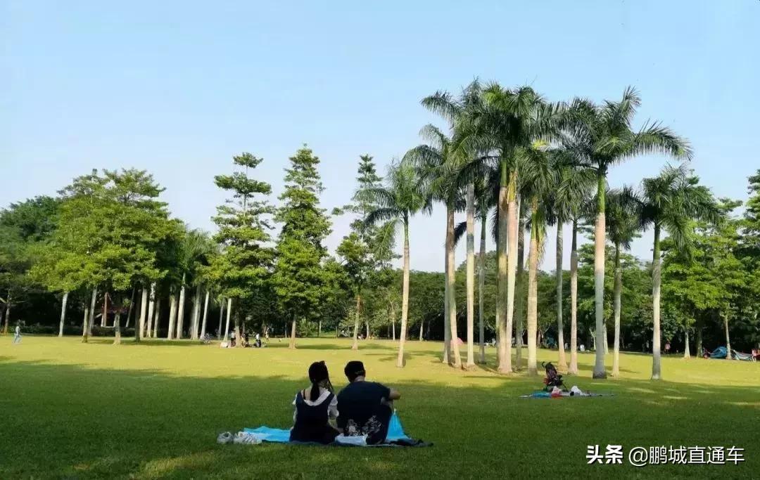 深圳60个最适合一日免费景点,暑假深圳旅游必去十大景点