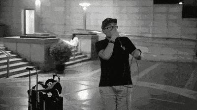 被柳絮困扰,被柳絮搞到崩溃是什么体验