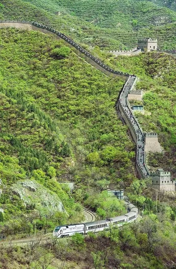 太美了开往春天的列车,这些开往春天的列车简直美呆了