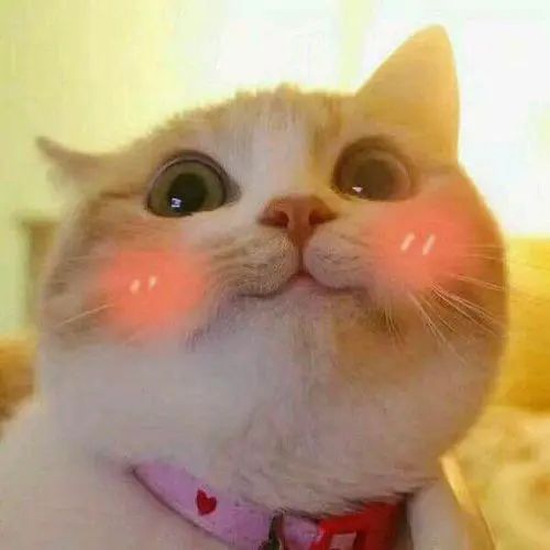 7款不踩雷的男生香水，太太太好闻了