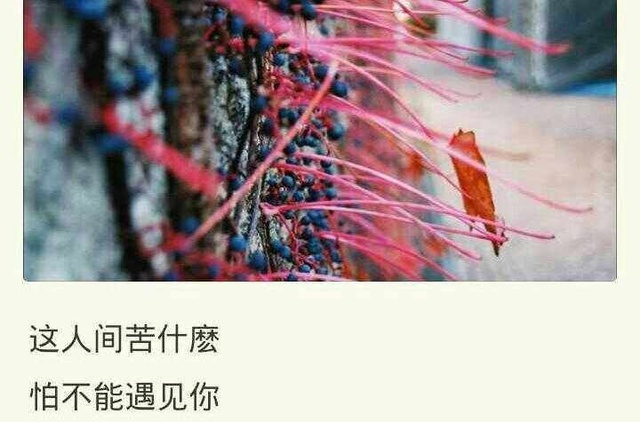 现在的你，还会因哪句歌词而沉默……