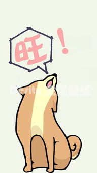 什锦壁纸｜我的高冷你不懂