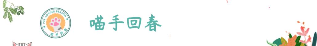 狗狗的毛被梳秃了还能长出来吗,狗狗的毛被理秃了