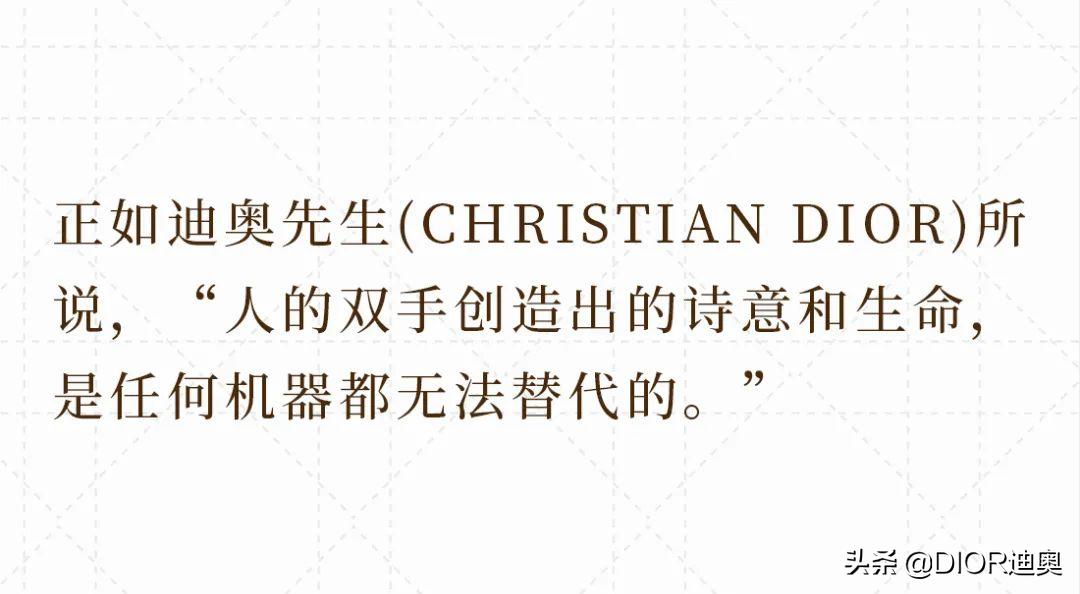 ladydior特别款,ladydior全部款式