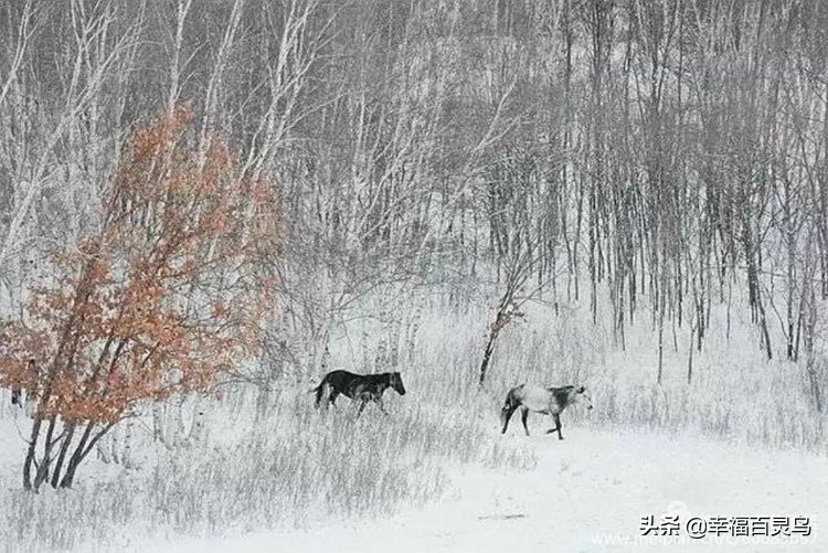 闆惤瀚g劧,闆惤瀚g劧鐩稿尮閰嶇殑缃戝悕