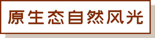 深圳宝安喝茶的世外桃源,宝安西乡世外桃源