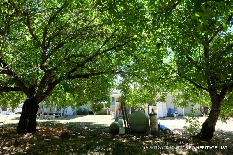 第3034回：无风雨不知花可惜，无患难不知人可谋