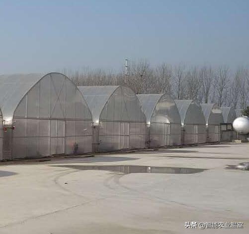 毕节蔬菜薄膜连栋温室大棚,陕西连栋薄膜温室大棚销售