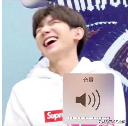 林更新表情包哈士奇,林更新张若昀狗子表情包主人