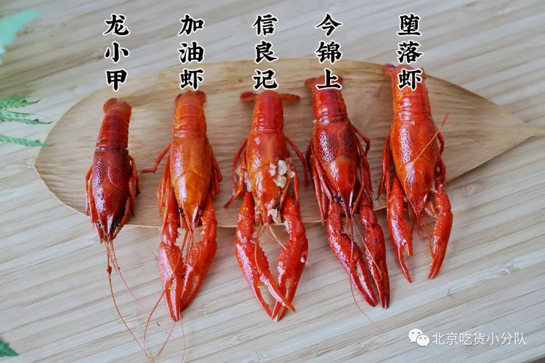 卖1百多亿的网红,卖一百多万商品的网红能赚多少钱