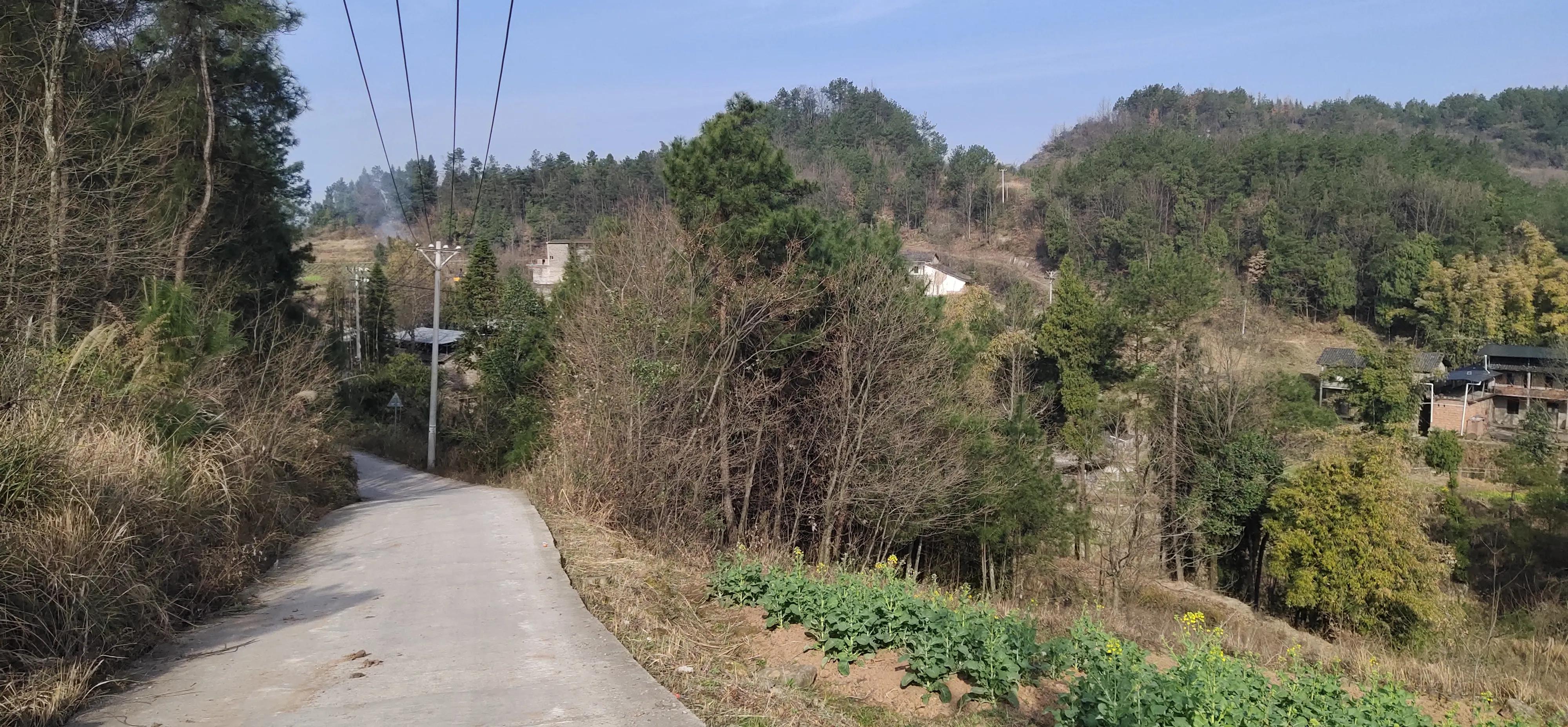 登高感想100字以上,初九登高