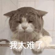 炒股群50人49个骗子,炒股群里除了自己都是骗子