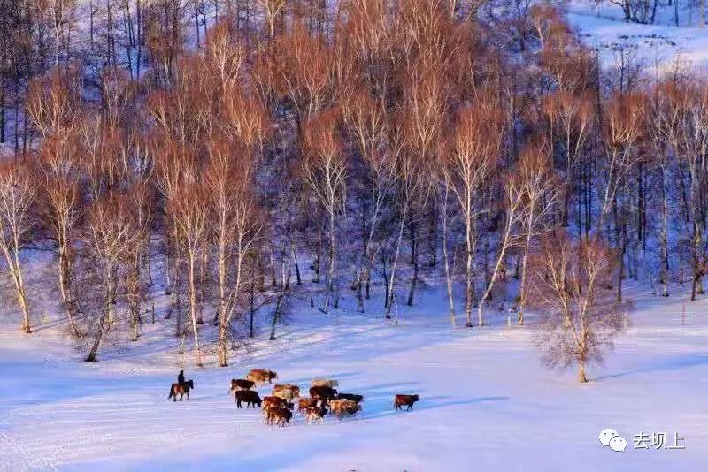 坝上摄影攻略,坝上夏季摄影