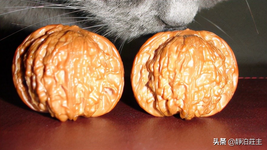 磨盘狮子头核桃怎么看品相,白狮子核桃和磨盘狮子头哪个好