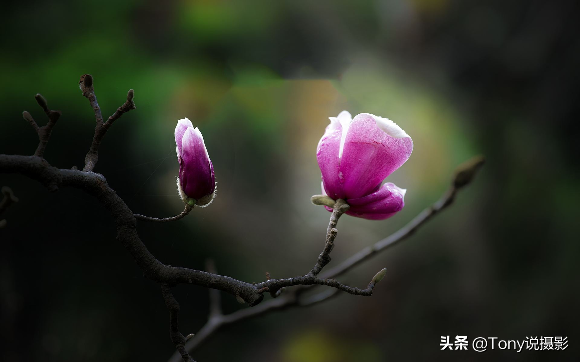 摄影：照片拍糊怎么办？4个应对技巧要学会