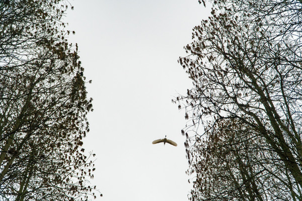 踏春赏花正当时，打卡千垛水上油菜花！玩转兴化景点美食全攻略