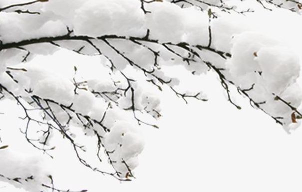 有关冬月美景的诗词,十一月唯美诗句