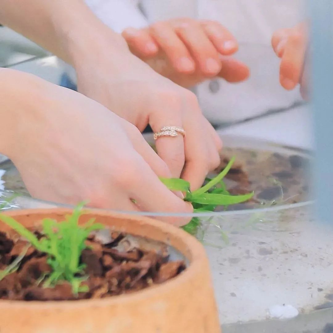 李佳琦销量下滑了吗,李佳琦卖表