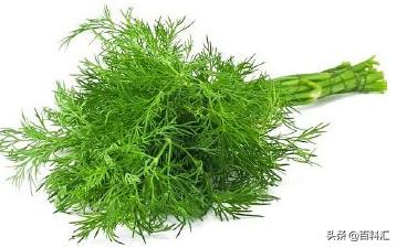 香水中的檀香,香水中的木香香料