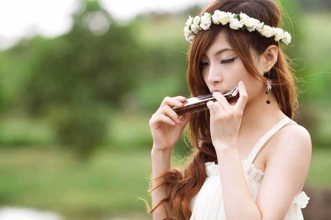 十分钟教你学会家常菜,十分钟教你学会口琴